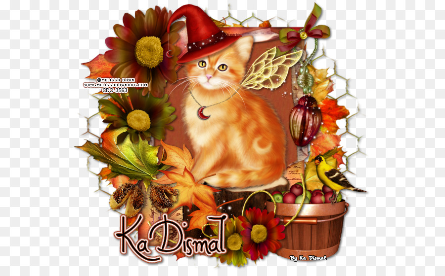 Kedi，Web Sayfası PNG