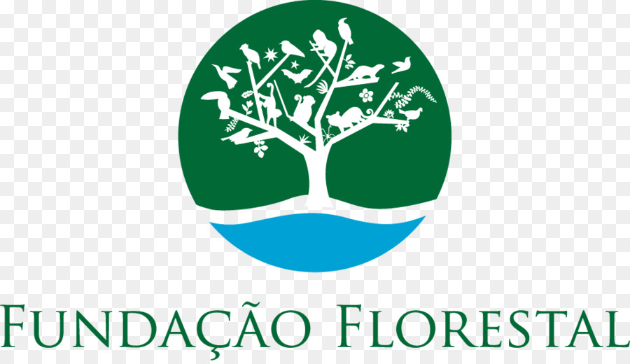 Sao Paulo，São Devleti Koruma Vakfı Ve Orman üretim Paulo PNG