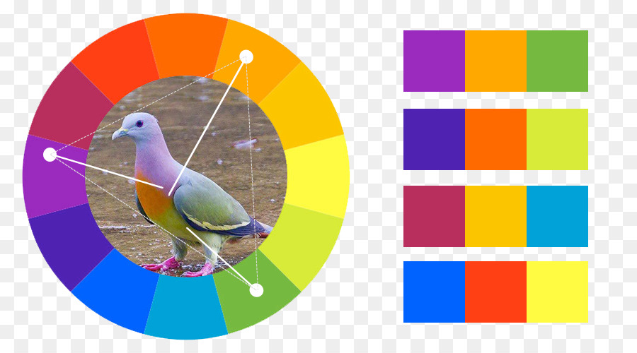 Benzer Renkleri，Renk Düzeni PNG