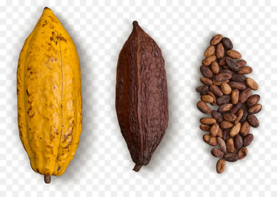 Kakao çekirdeği，çikolata PNG