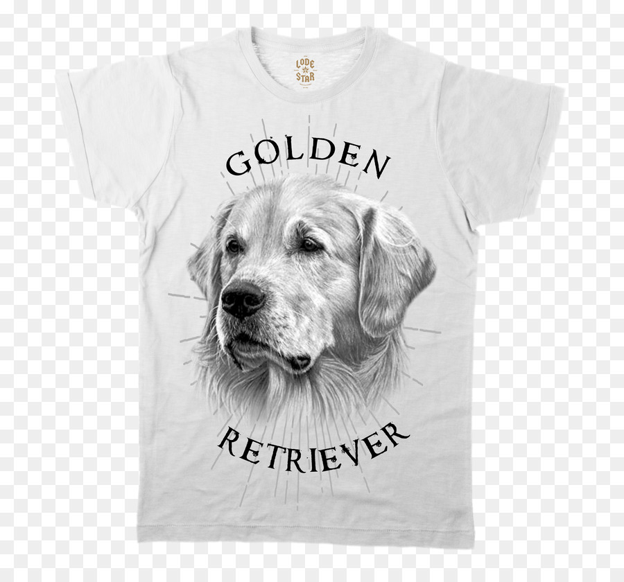 Labrador Retriever，Tshirt PNG