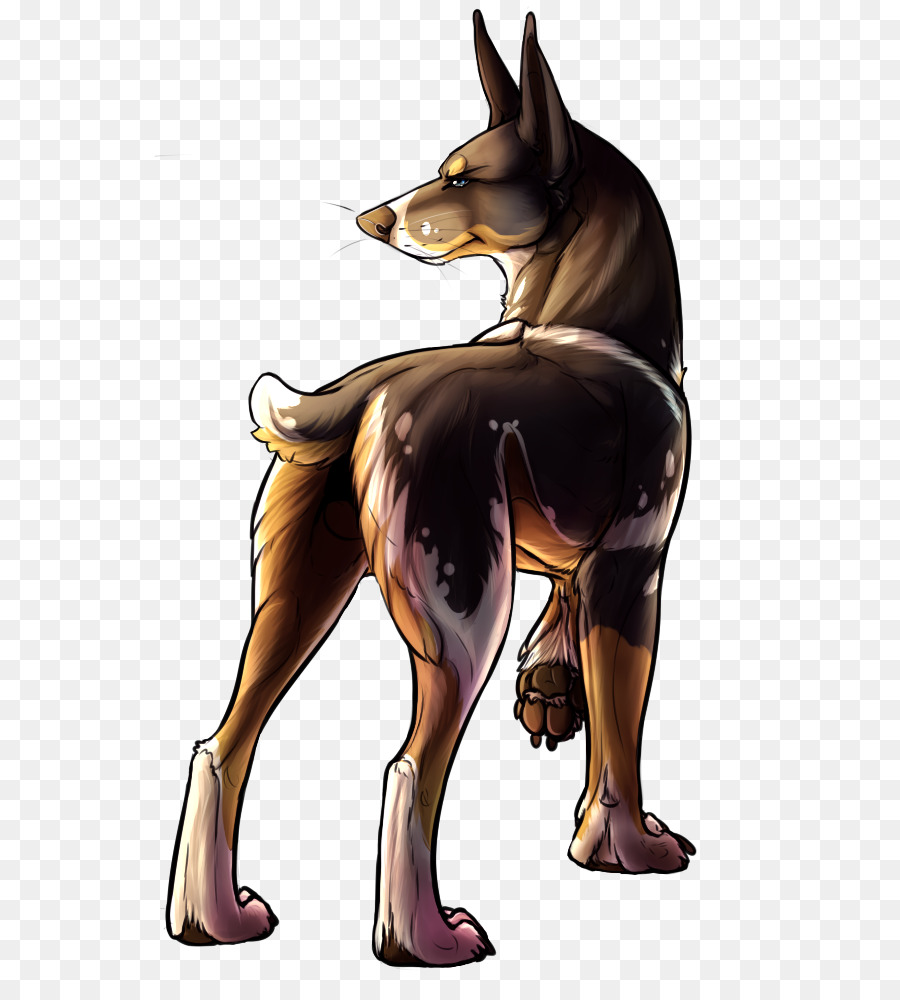 Köpek ırkı，Köpek PNG