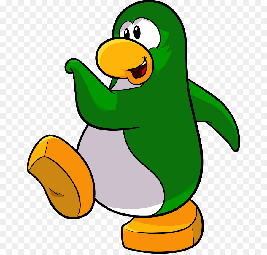 Penguen，Kuş PNG