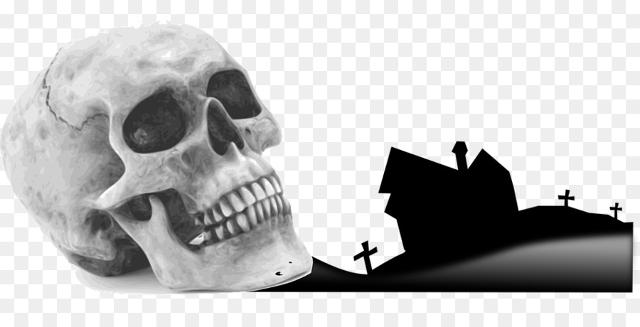 Kafatası，Insan Iskeleti PNG