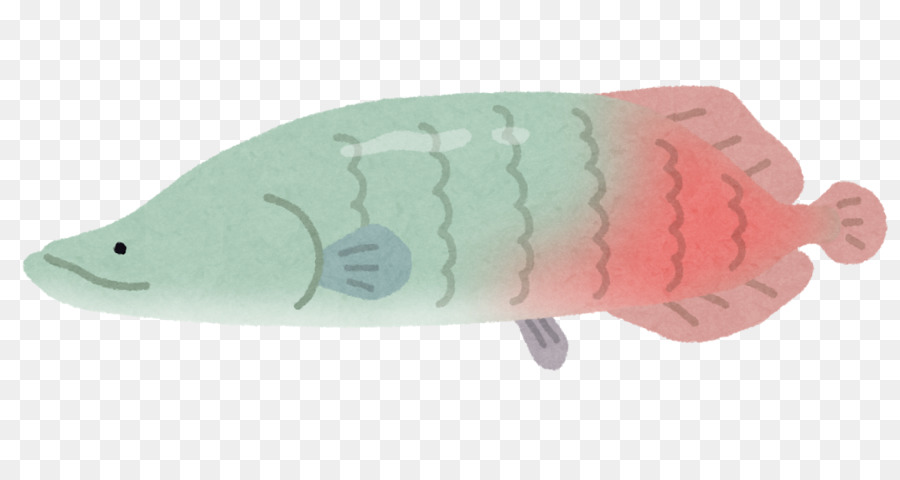 Balık，Arowana PNG