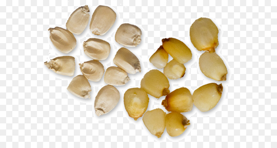 Nixtamalization，Mısır Tortilla PNG