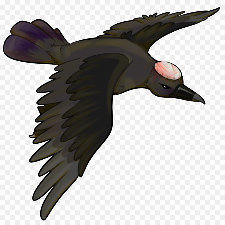 Fauna，Kuş PNG