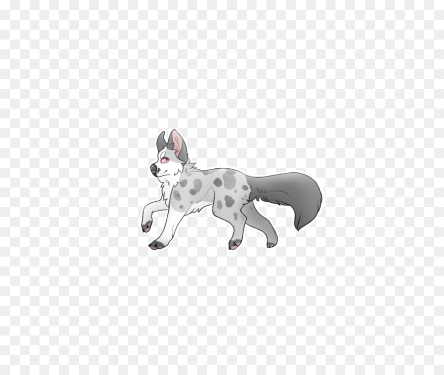 Dalmaçyalı Köpek，Kedi PNG