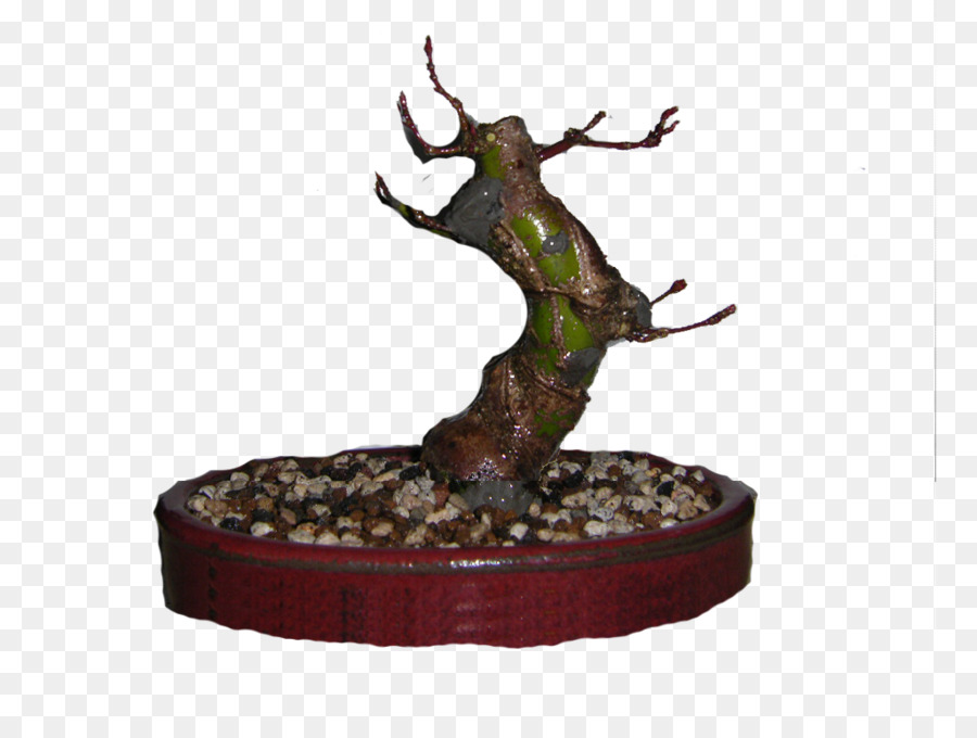 Bonsai，O PNG