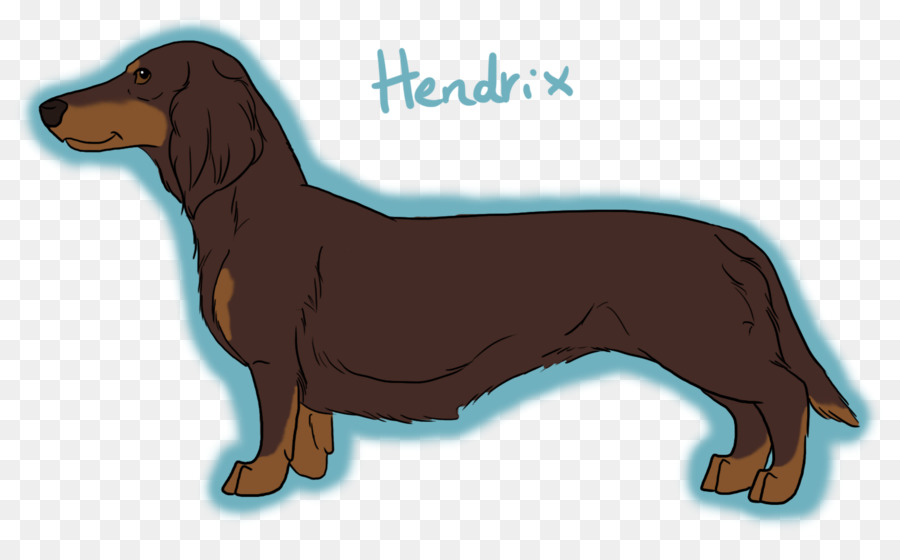 Dachshund Illüstrasyon，Evcil Hayvan PNG