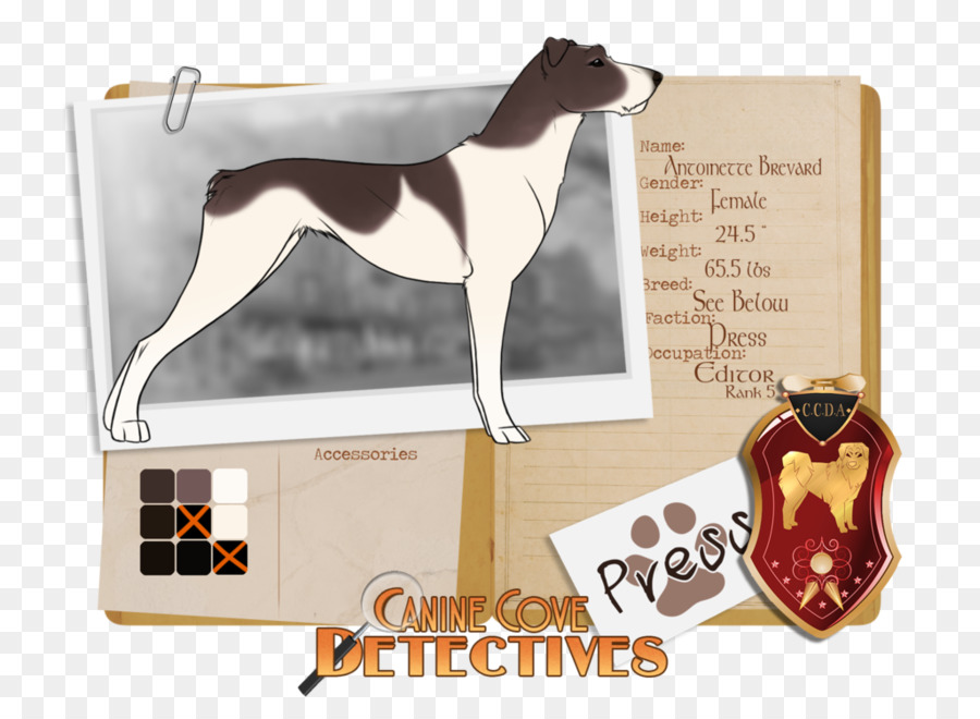 Köpek ırkı，İtalyan Greyhound PNG