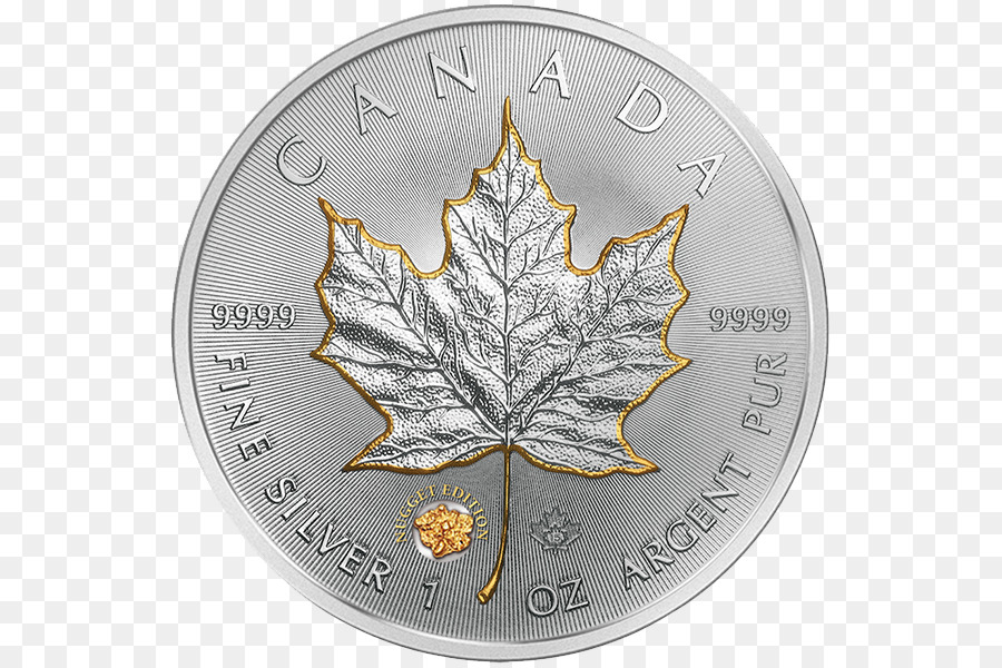 Kanada Gümüş Maple Leaf，Kanada Altın Maple Leaf PNG
