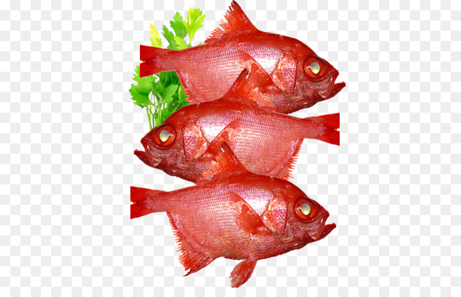 Kuzey Red Snapper，Balık ürünleri PNG