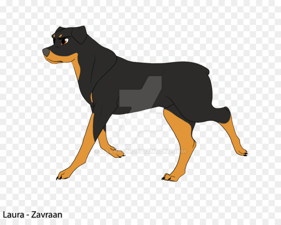 Köpek Yavrusu，Rottweiler PNG