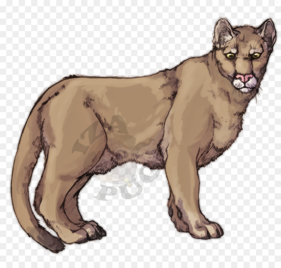 Aslan，Büyük Kedi PNG