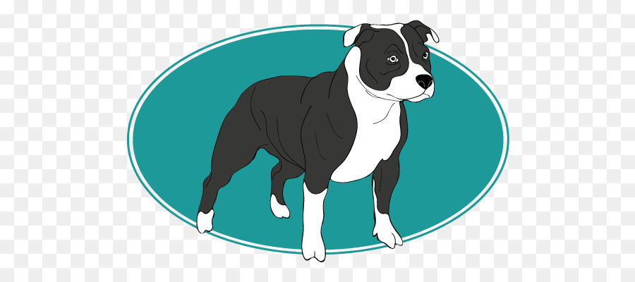 Boston Terrier，Köpek Yavrusu PNG