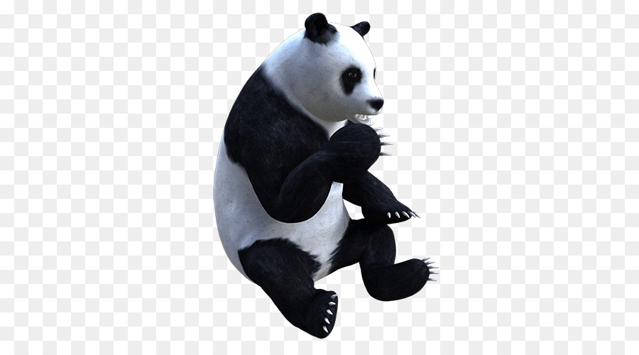Dev Panda，Doldurulmuş Hayvanlar Sevimli Oyuncaklar PNG