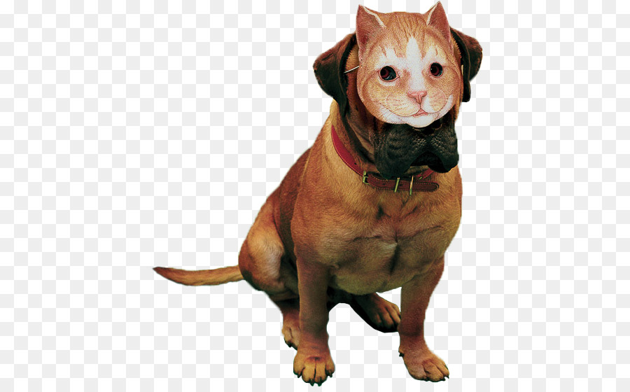 Köpek，Kedi PNG