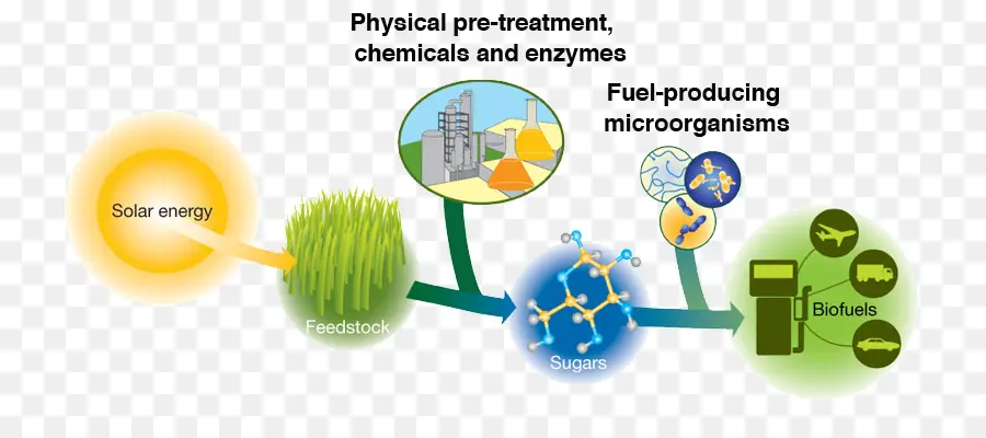 Biyoyakıt üretim Süreci，Enerji PNG