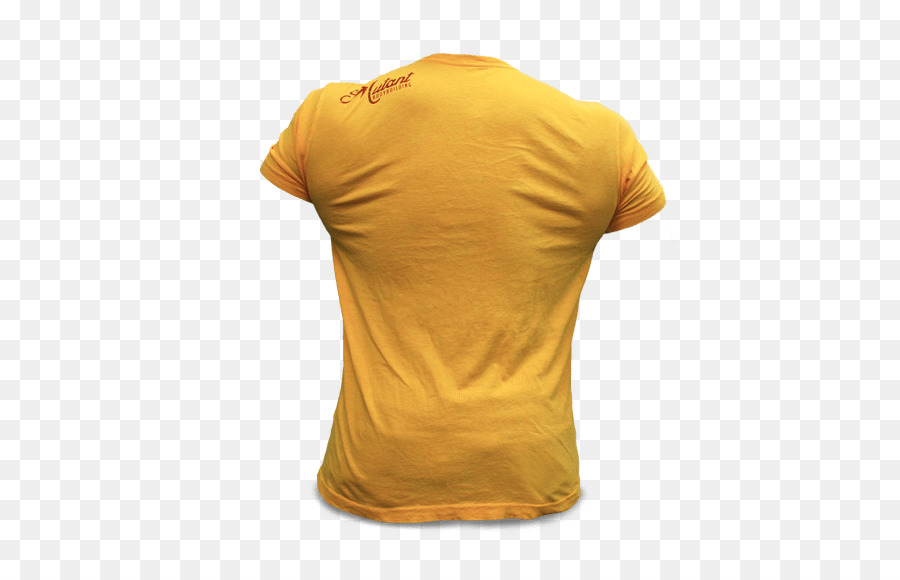 Tshirt，Vücut Geliştirme PNG