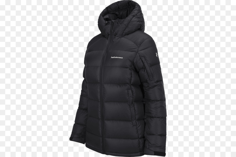 Ceket，North Face Erkek Yansıtıcı Ceket Gidermek PNG