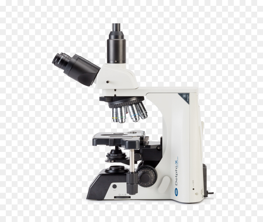 Mikroskop，Euromex Dx1153pli Trino Mikroskop 40x1000x PNG