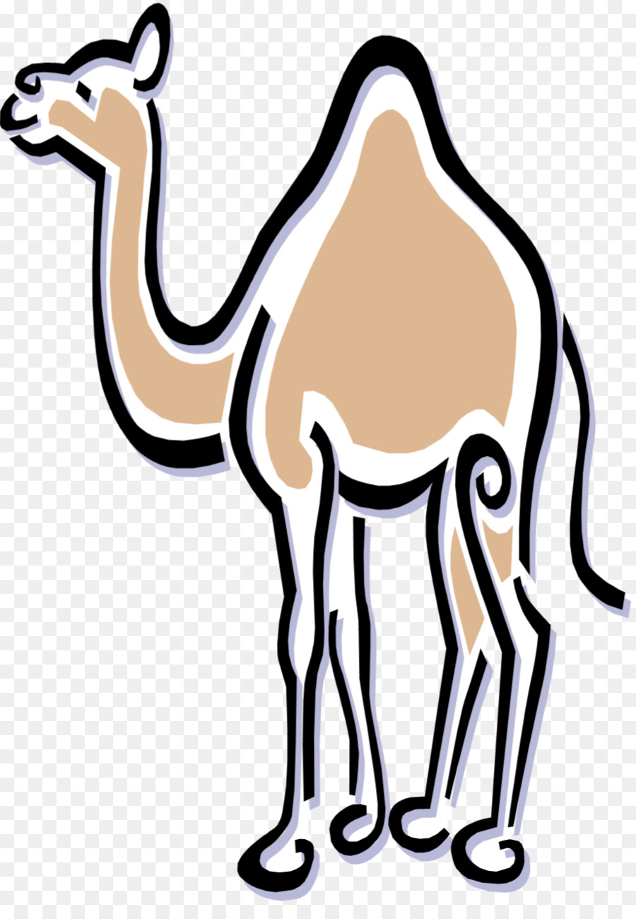 Dromedary，Benicia Tarih Müzesi PNG