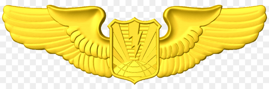 Abd Hava Kuvvetleri Havacılık Derecesi，Birleşik Devletler Hava Kuvvetleri PNG