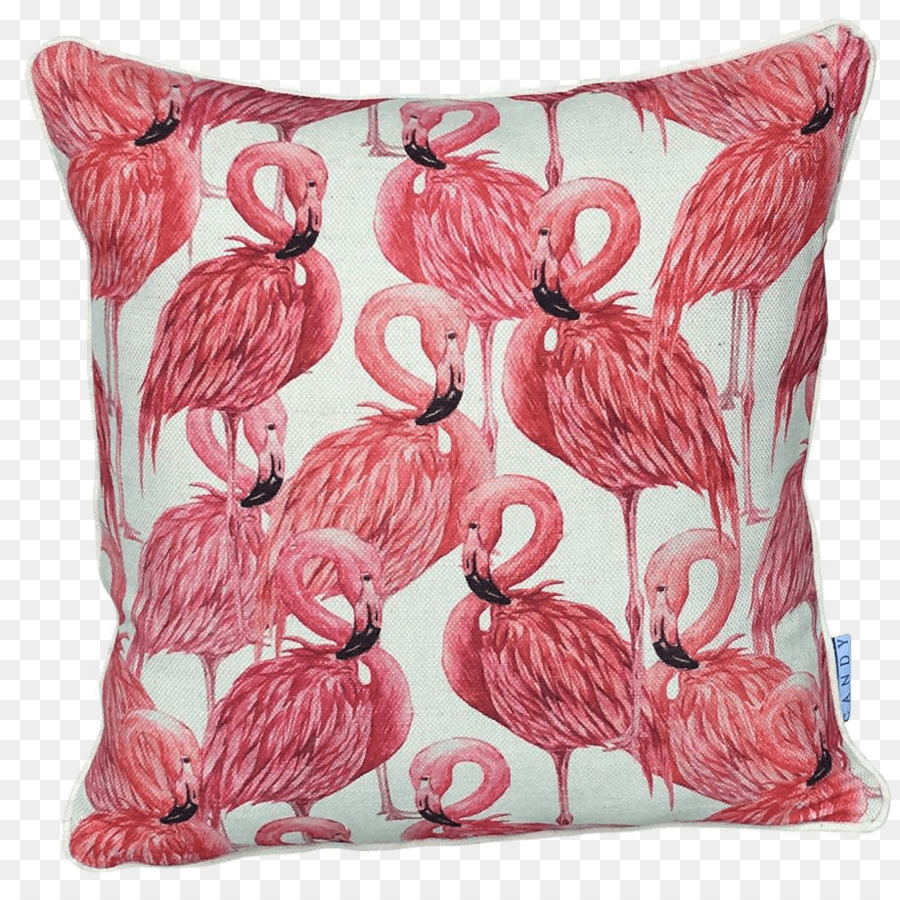 Flamingo，Pembe PNG