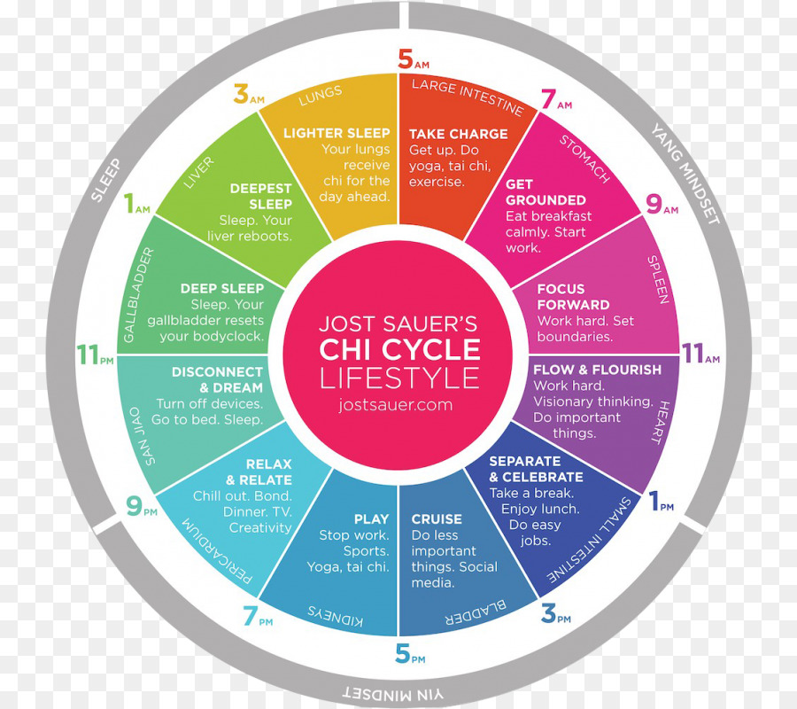 Chi Döngüsü Yaşam Tarzı，Sağlık PNG