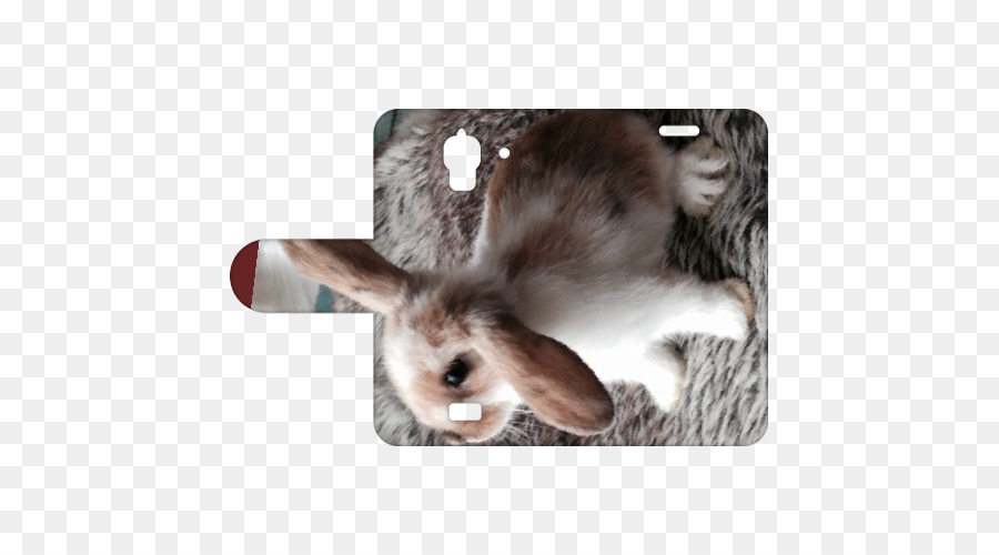 Yerli Tavşan，Huawei Y5 PNG