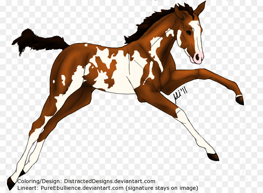 Mustang，Midilli PNG