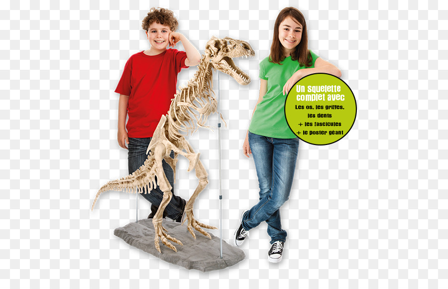 Tyrannosaurus，Velociraptor PNG