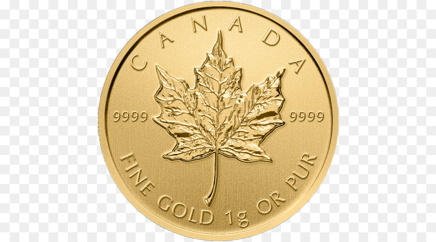 Perth Nane，Kanada Altın Maple Leaf PNG