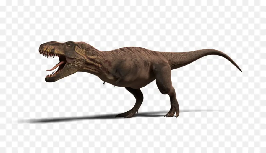 Tyrannosaurus，Jurassic Park Operasyonu Genesis PNG