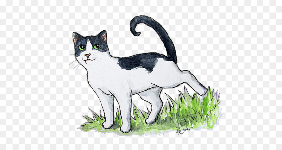 Yerli Kısa Tüylü Kedi，Avrupa Form PNG