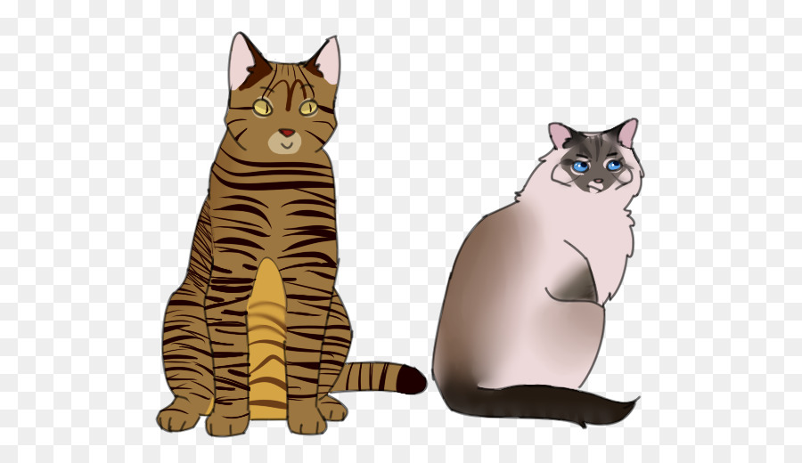 Iki Kedi，Kedi PNG