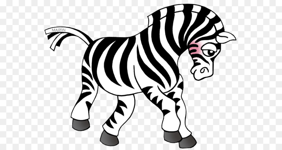 Zebra，Siyah Ve Beyaz PNG