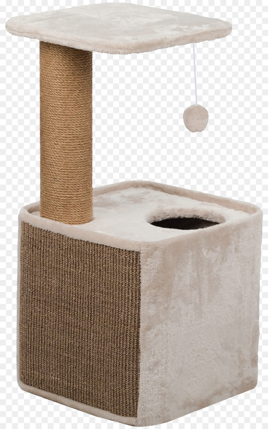 Kedi Ağacı，Kedi PNG