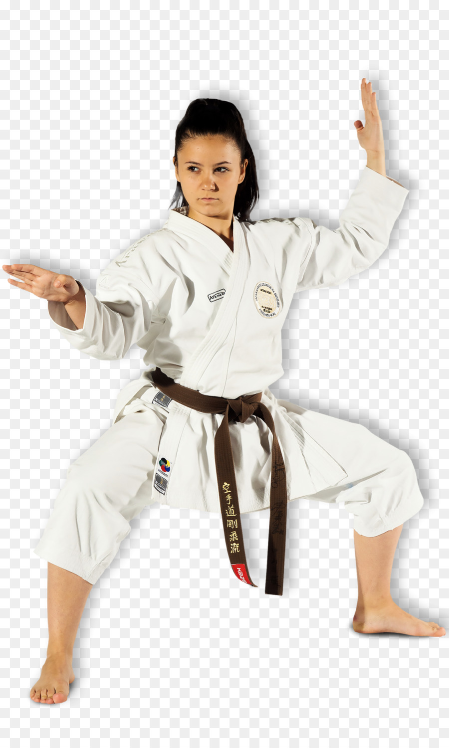 Karate Kızı，Dövüş Sanatları PNG