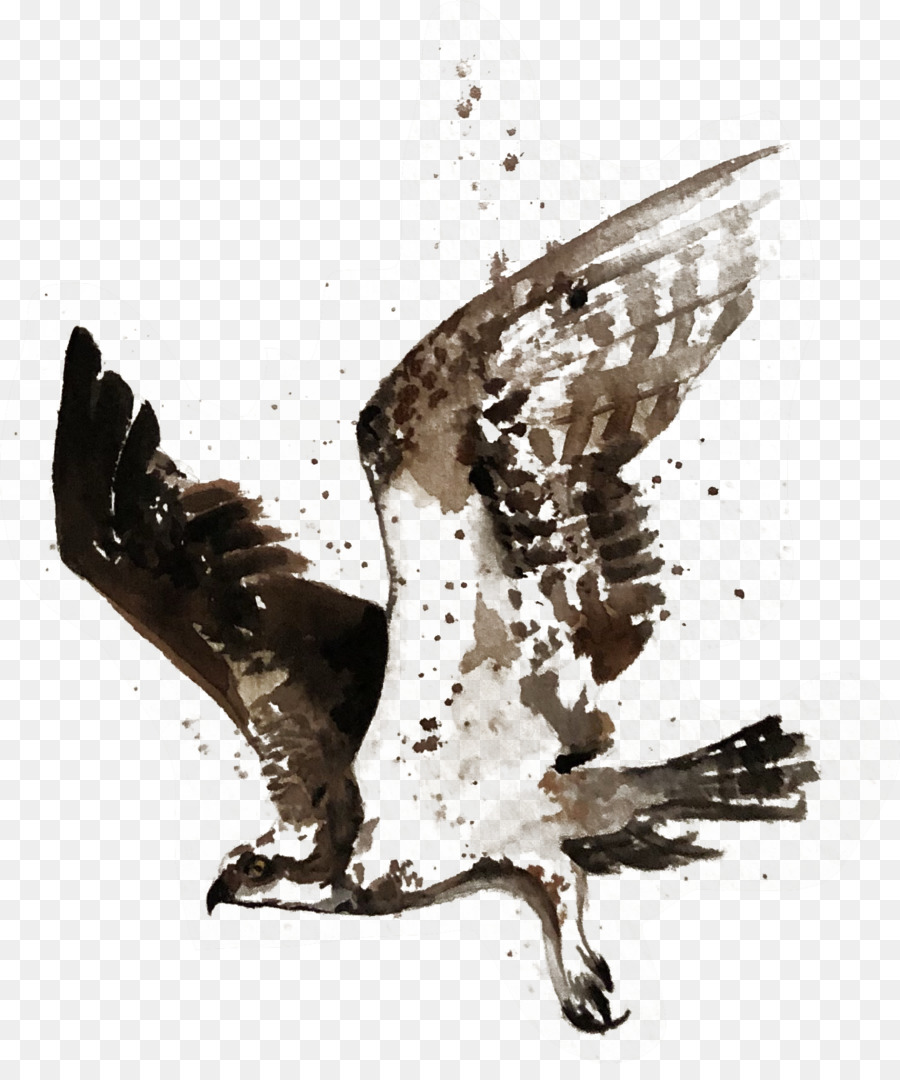 Osprey，Menü PNG