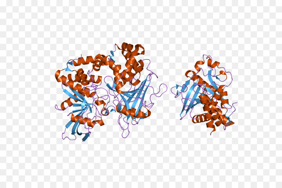 Ptprd，Protein PNG