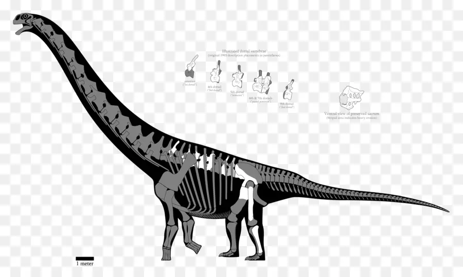 Dinozor İskeleti，Tarih öncesi PNG