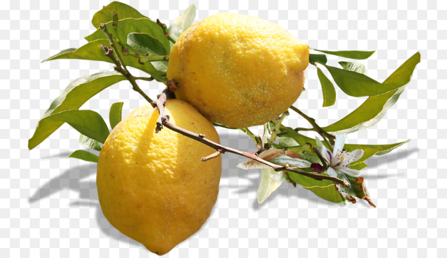 Limon，Vejetaryen Mutfağı PNG