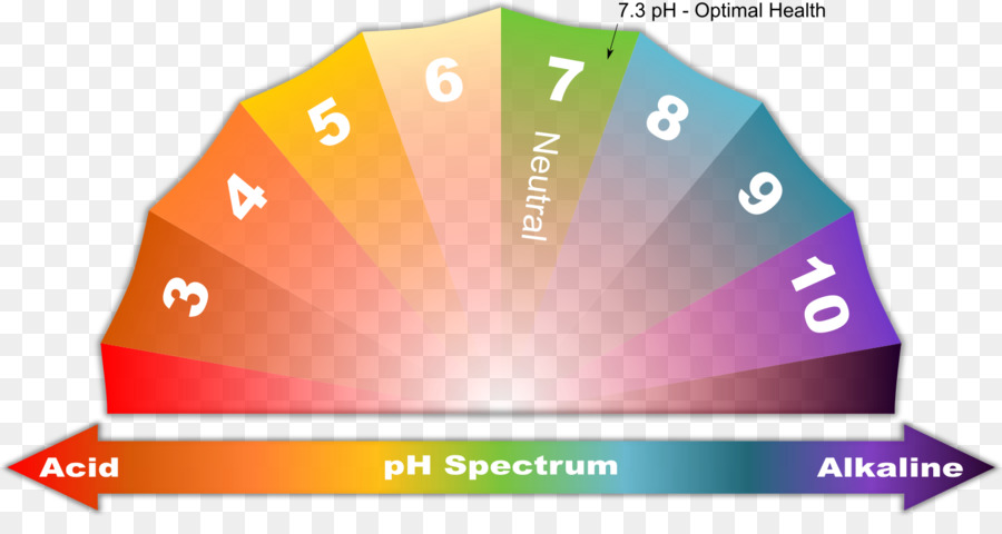 Hukuk，Grafik Tasarım PNG