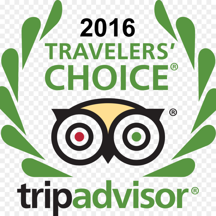 Tripadvisor Logosu，Seyahat PNG