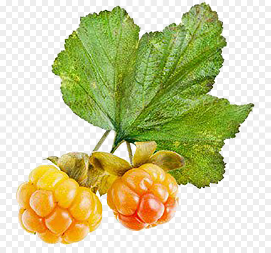 Varis，Cloudberry PNG