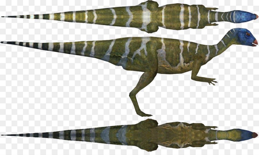 Tyrannosaurus，Othnielia PNG