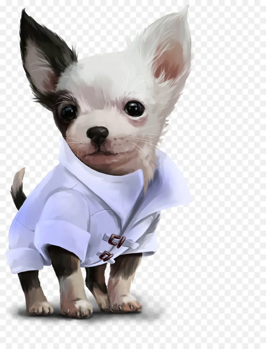 Chihuahua，Köpek Yavrusu PNG