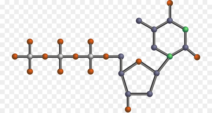 Nükleotit，Adenozin Trifosfat PNG